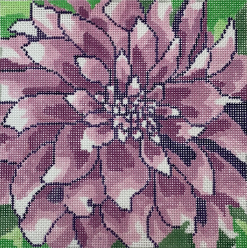 Large Purple Dahlia