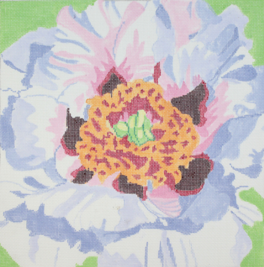 Tree Peony #1
