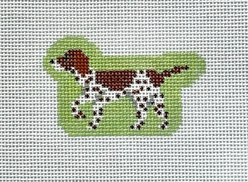 GH Mini German Shorthair Pointer