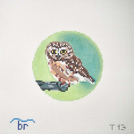 Rocky (Saw Whet Owl)