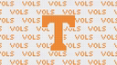 Tennessee Purse Insert