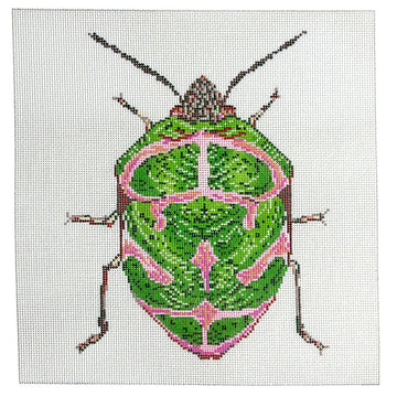 Little Bugs - Green & Pink