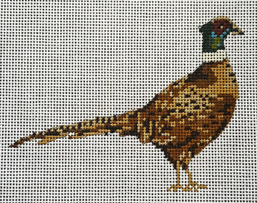 Pheasant